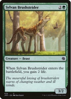 Sylvan Brushstrider