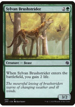 Sylvan Brushstrider