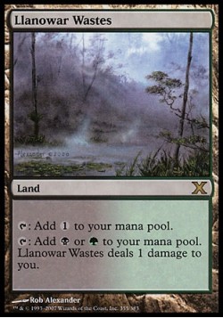 Llanowar Wastes