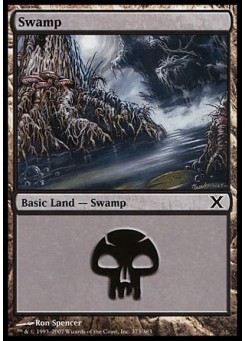 Swamp