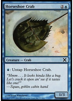 Horseshoe Crab