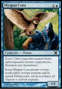 Мудрая Сова