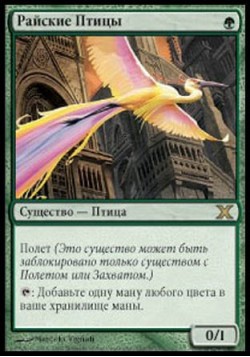 Райские Птицы