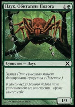 Паук, Обитатель Полога