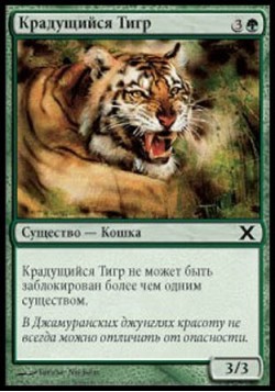 Крадущийся Тигр