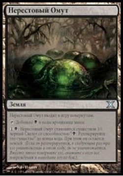 Нерестовый Омут