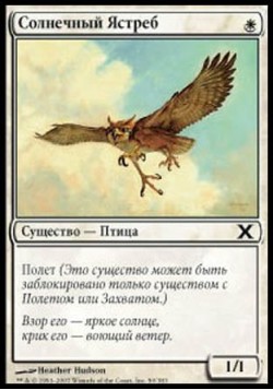 Солнечный Ястреб