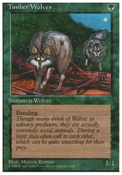 Timber Wolves