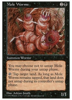 Mole Worms