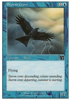 Storm Crow