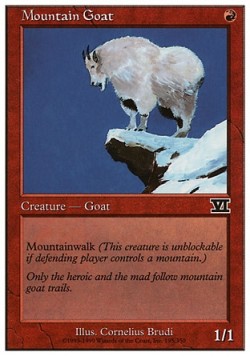 Mountain Goat