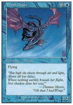 Wind Drake
