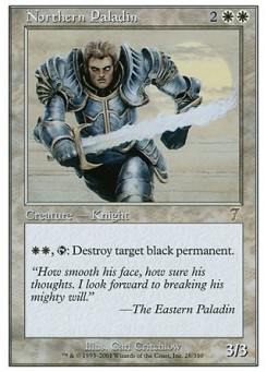 Northern Paladin