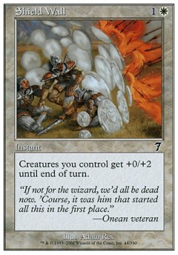 Shield Wall
