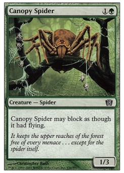 Canopy Spider