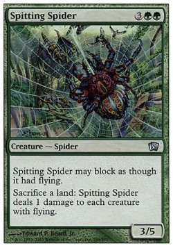 Spitting Spider