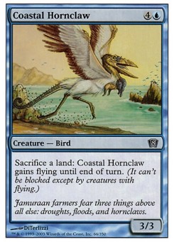 Coastal Hornclaw