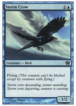 Storm Crow