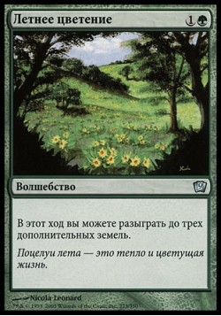 Летнее цветение