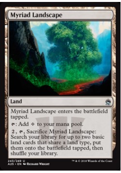 Myriad Landscape