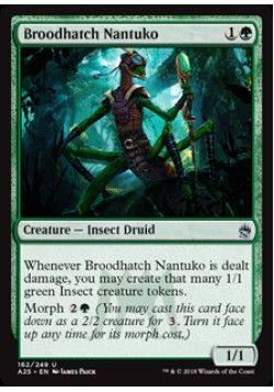 Broodhatch Nantuko