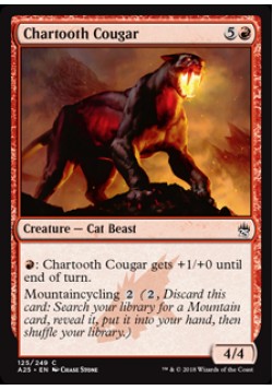 Chartooth Cougar