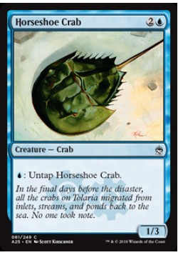 Horseshoe Crab