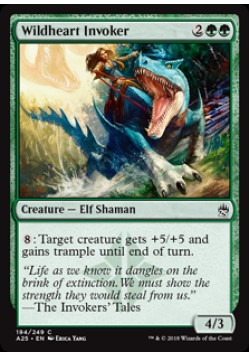 Wildheart Invoker