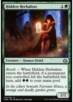 Hidden Herbalists