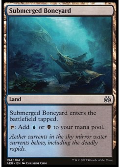 Submerged Boneyard