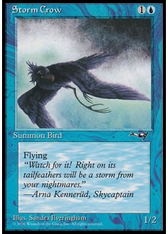 Storm Crow