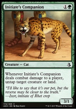 Initiate's Companion