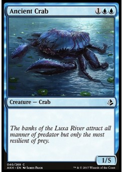 Ancient Crab