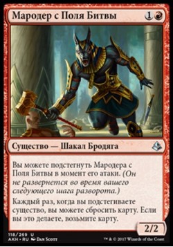 Мародер с Поля Битвы