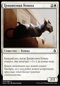 Грациозная Кошка