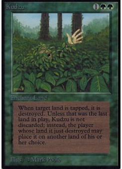 Kudzu