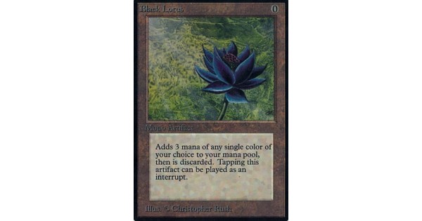 Салон black lotus