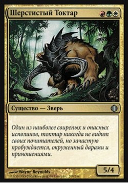 Шерстистый Токтар