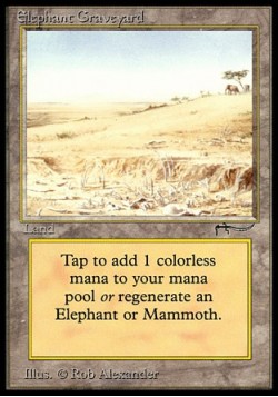 Elephant Graveyard