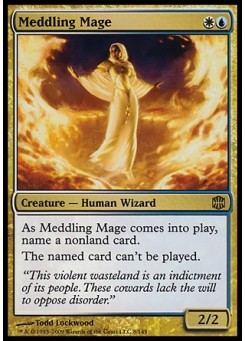 Meddling Mage