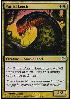 Putrid Leech