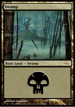 Swamp