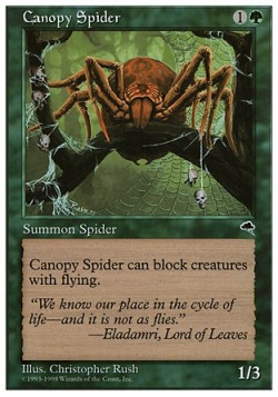 Canopy Spider