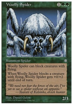 Woolly Spider