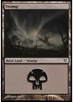 Swamp