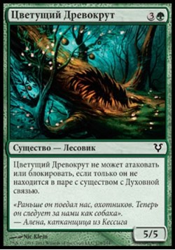 Цветущий Древокрут