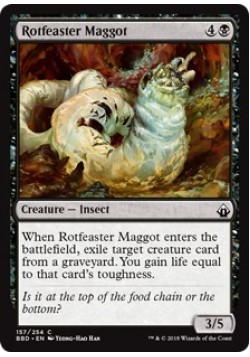 Rotfeaster Maggot