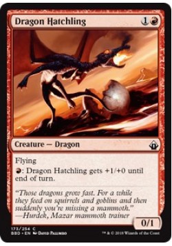 Dragon Hatchling