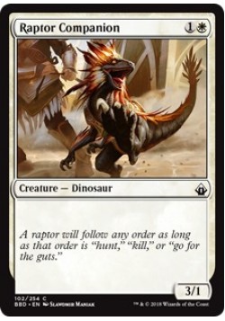 Raptor Companion