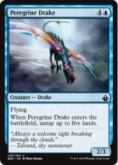 Peregrine Drake